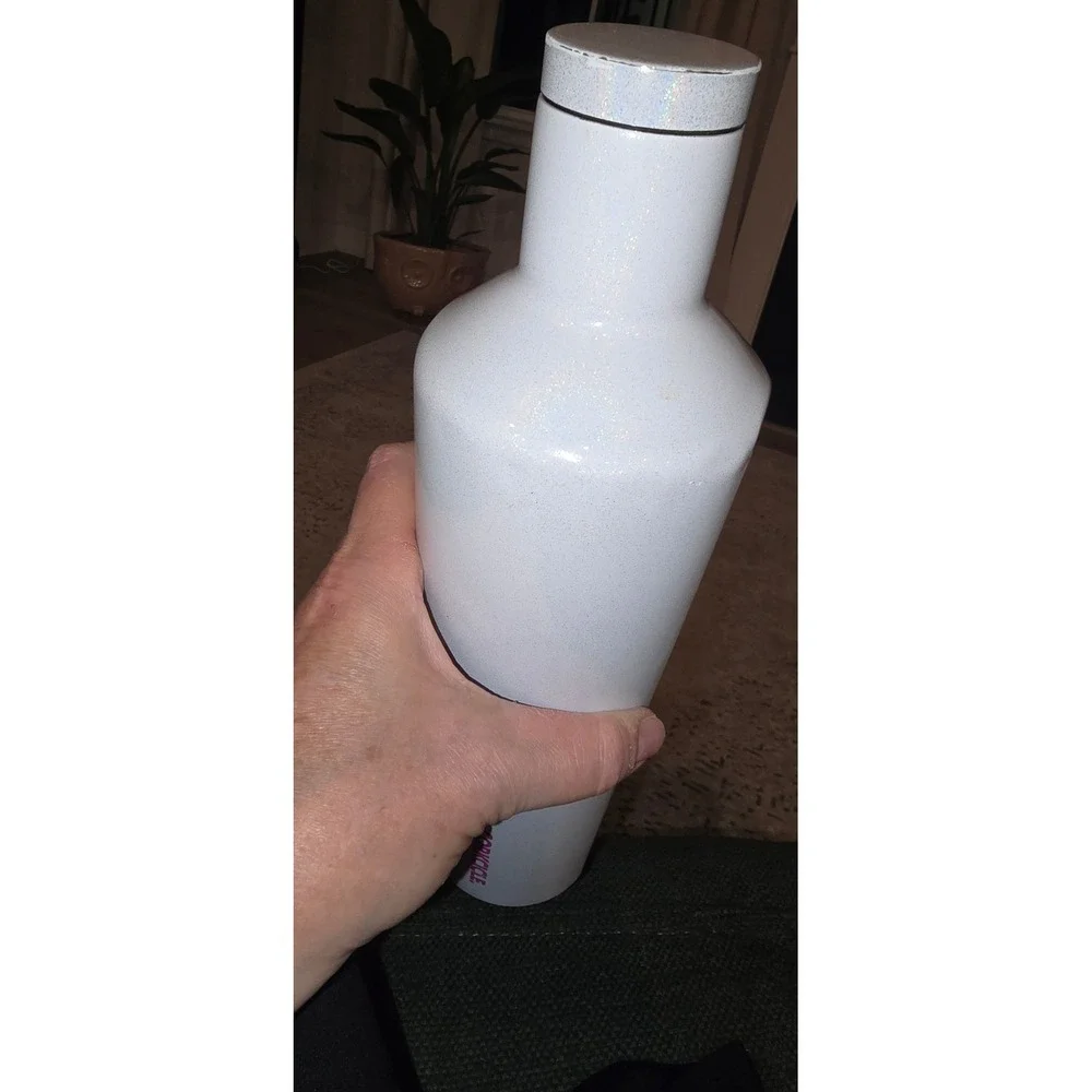 Corkcicle 25oz stainless